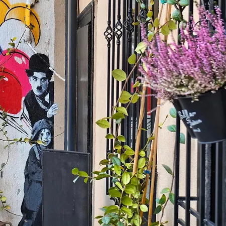 Avc * נובי סאד